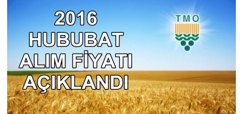 TMO 2016 ALIM FİYATI AÇIKLANDI