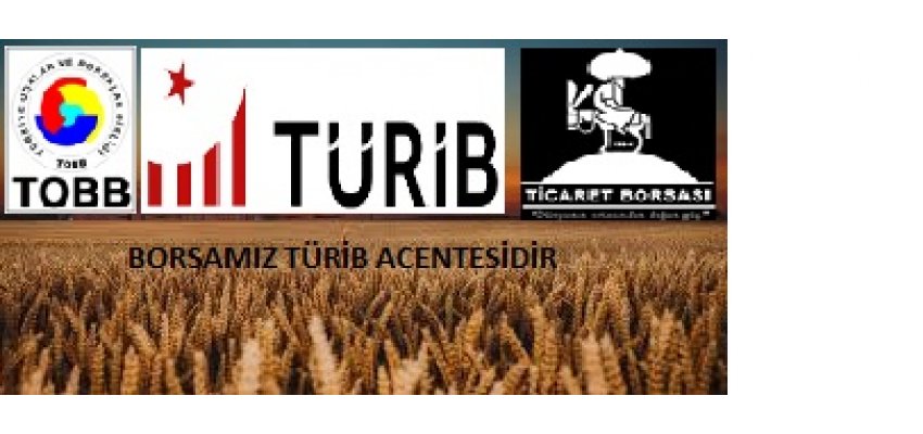 Borsamız , Türkiye Ürün İhtisas Borsası (TÜRİB) ile Acentelik Sözleşmesi İmzaladı